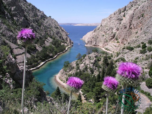 Naturpark Velebit 22
